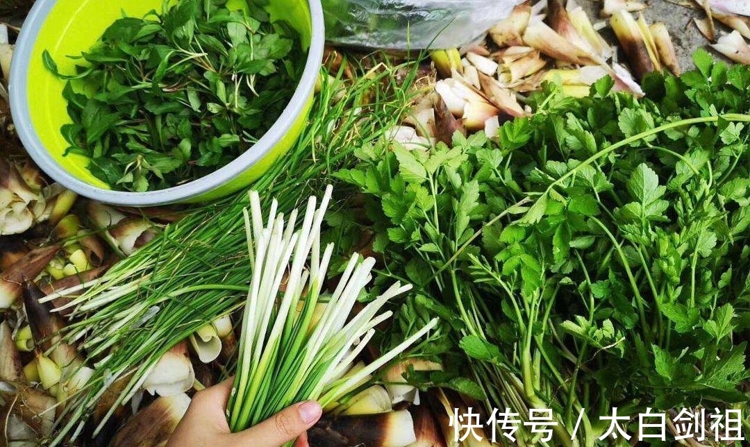 孟浩然!大诗人们的翠竹情怀,十二首著名的诗词,每一首都是经典