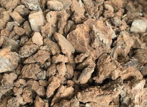 营养物质|1种渣子可别扔,拿来当肥不伤根,挖个小洞,埋盆里,疯开撑破盆