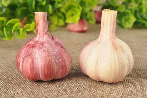 胆固醇|鸡蛋是高血脂的“发物”？医生道出真相，真该少吃的，或是这3样