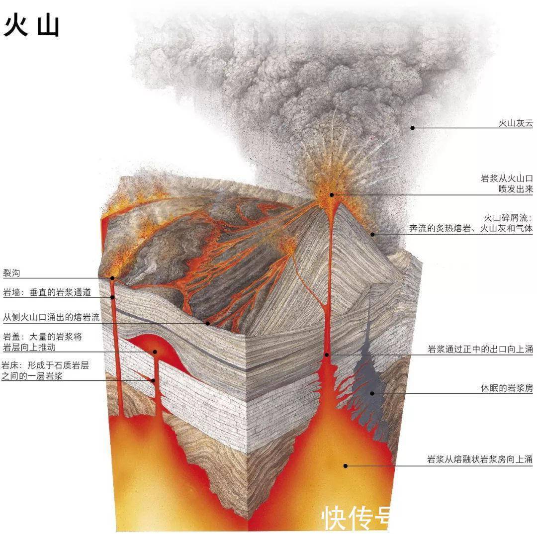 为什么水放在地球上几十亿年没有变质，放在瓶子里很快就变质