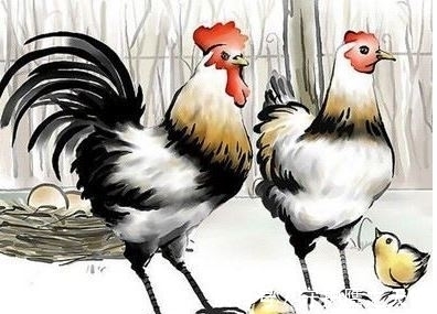 天解|未来16天,三大属相财运上佳,好事不断,收获财富,和好运最有缘