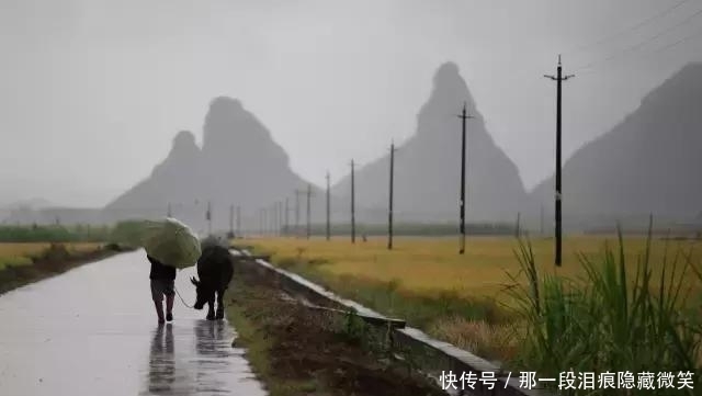 江南雨真有那么诗情画意吗？