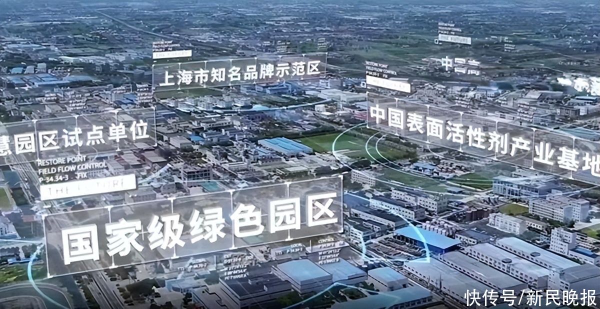 城镇|专人对接送策上门 金山推40项惠企纾困实招