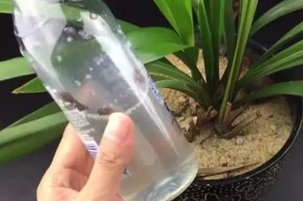 泡土豆丝的水不要倒掉,其实特别值钱,还有大作用,学到就赚到