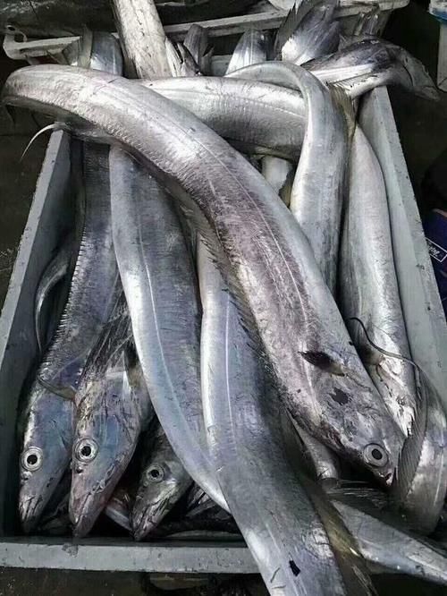 身体|提醒:这4种鱼尽量少吃,或不利于身体健康,可能很多人还不知道