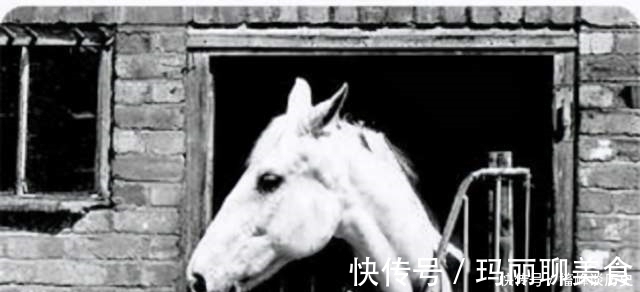 杨洁#西游记白龙马山洞惨死，导演杨洁泪目，尸骨无存的背后是人性的恶