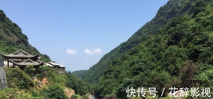 动植物|江西5A景区走红，被誉为“动植物基因库”，距抚州市105公里