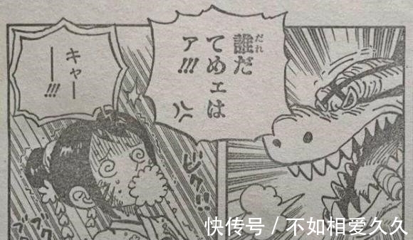 草帽海贼团|海贼王1017话日版,奎因人兽形像一只乌龟,直接把小玉给吓晕