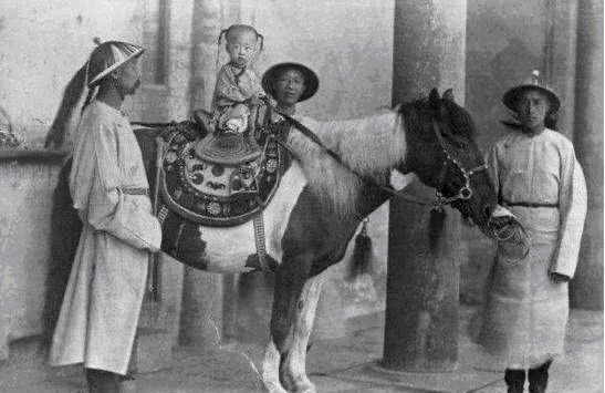 残忍|慈禧当年做了一件极其残忍之事,直到一百年之后的才被专家们发现