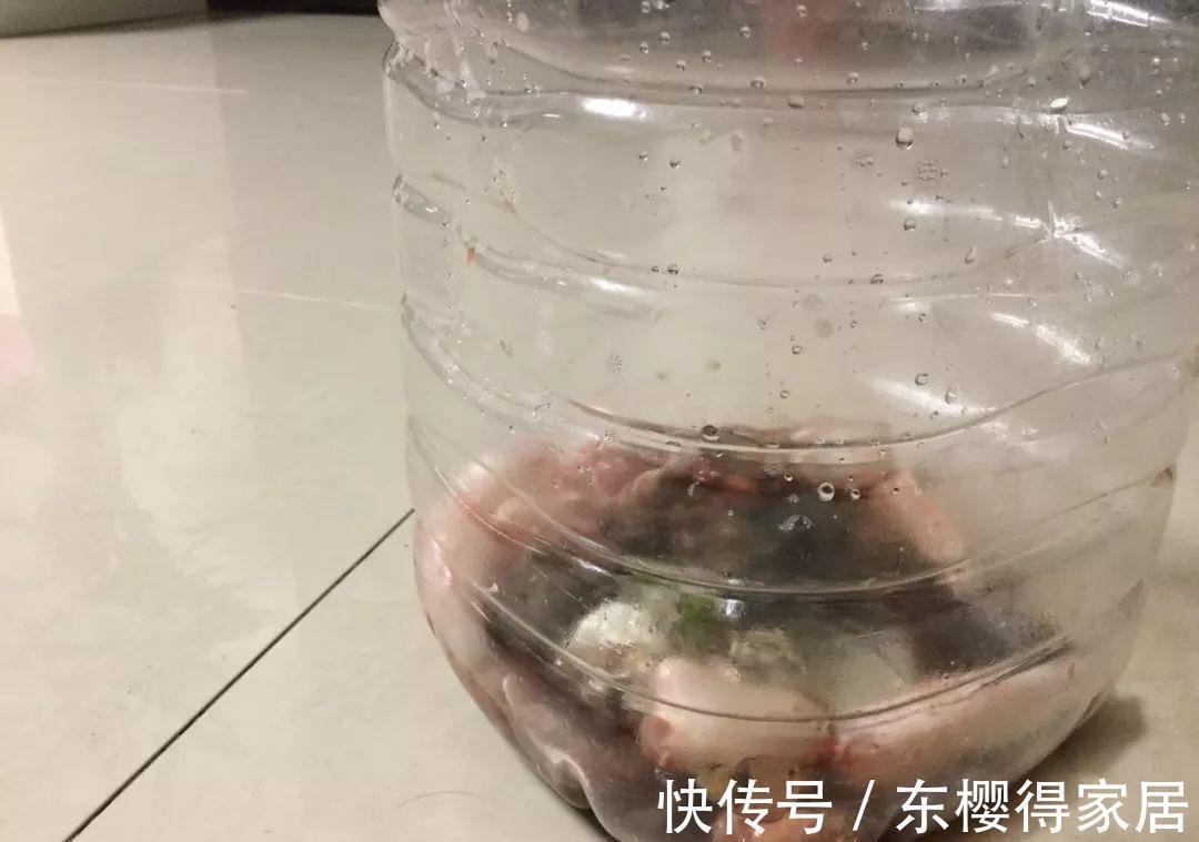 养花肥|怎么制作低成本高效养花肥?准备黄豆、鱼肠,这么干就成了