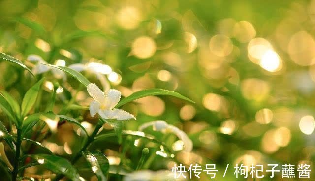 农夫与蛇|做人要厚道,但是对待三种人要刻薄,不能心软