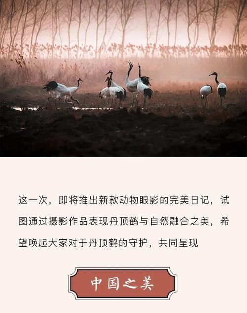 谁说东方美人不在眼睛上做文章