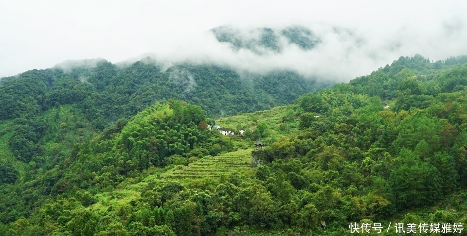 主峰|皖南被遗忘的一座山，古时与黄山齐名，今成华东地区动植物基因库