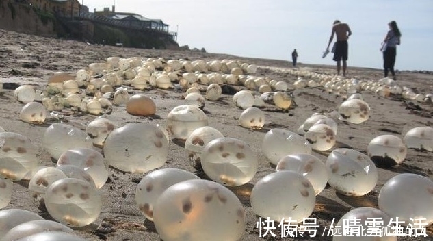 咖喱|有人在海边捡到钻石,更有人在海边捡到红宝石戒指