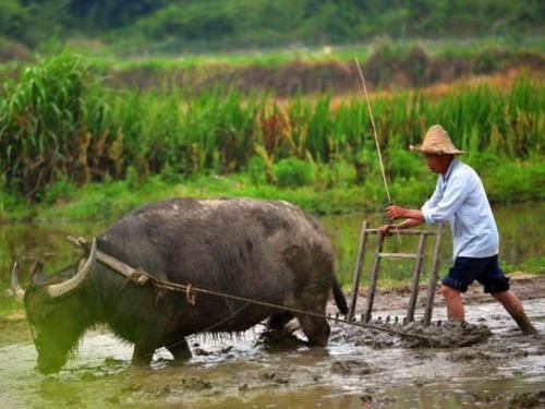 俗语说|俗语说“三更莫贪色”,其实下半句更重要,能做到的人太少了
