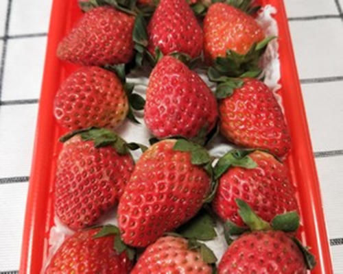 冷却后的草莓，好看又好吃