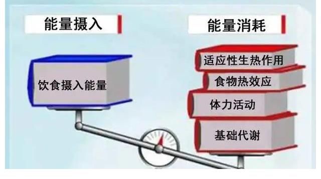 减肥|咖啡减肥法,局部减肥法,这2个减肥误区,你中招了吗?