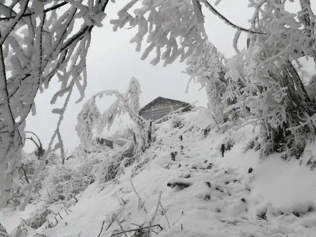 地方|汶川下雪了！这些地方，你最想去哪个？