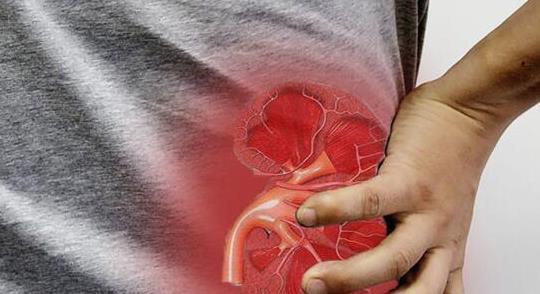 泡泡|男人肾不好会腰痛，尿味重？别被忽悠了，关于肾的问题一次性说清