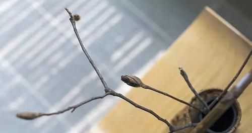 细节|简单细节美,一抹写意,几许禅意,勾勒出清茶里的中式禅意空间