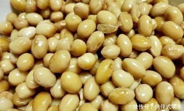 王大伯养花不施肥，反而给花吃“农作物”吃完植株蹭蹭长！