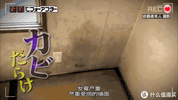 硬装|21万买下52㎡一层带院子,12万搞定硬装+软装,日式风真是老破小翻身捷径