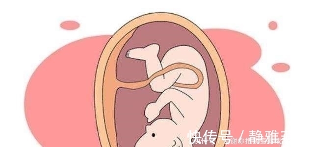 分娩|临产前胎宝忙得不可开交，为了跟妈妈见面，胎宝默默承担了这么多