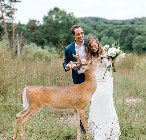 小鹿闯入婚纱照拍摄现场，抢夺新娘手中玫瑰，多么美妙的惊喜！
