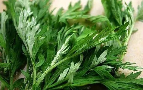 疗程|膝盖骨痛有救了，家有腰腿疼痛的人，记得存起来，受益颇深！