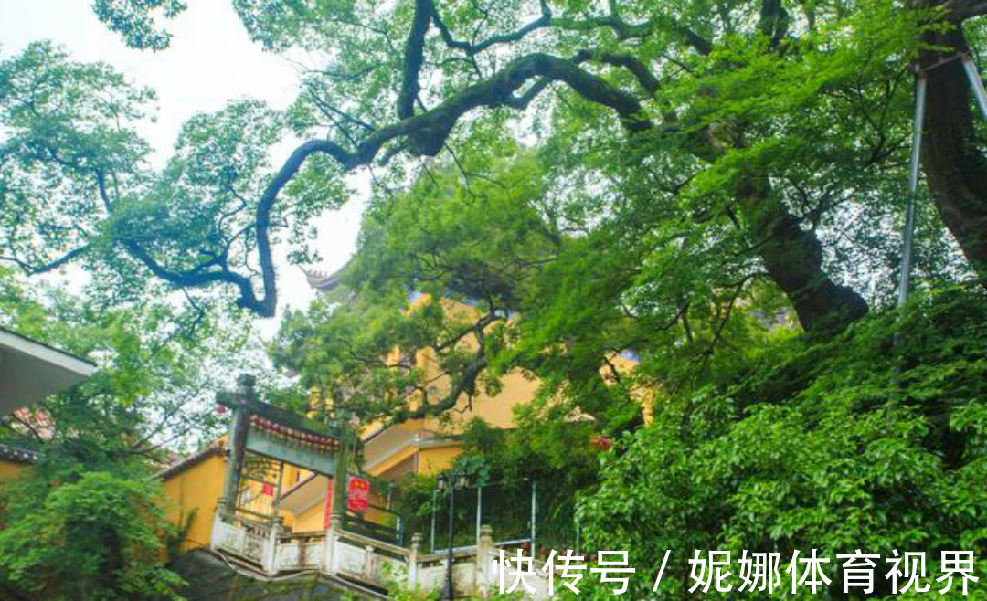 全唐诗&《全唐诗》里很有禅理的一首诗,每一句都是人生箴言,写得很深刻