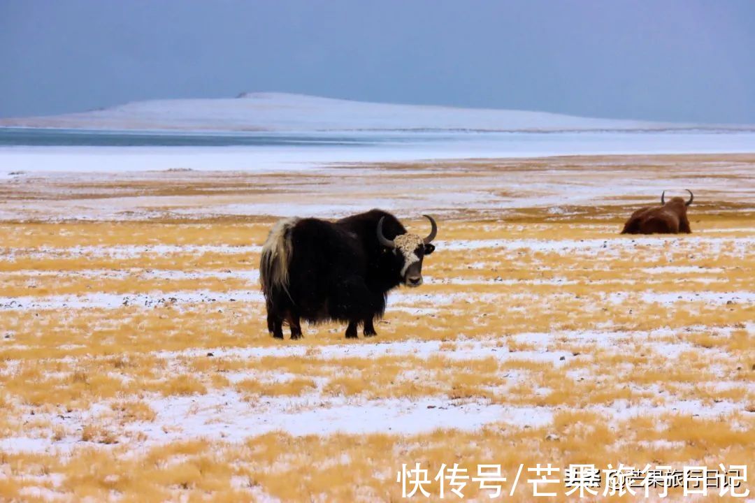 环游|西藏旅行，拉萨遇到一位香港姐姐，60多岁仍独自环游世界