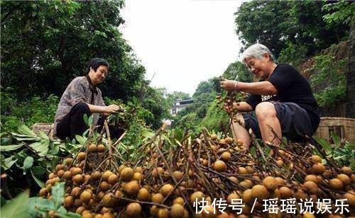 酸枣仁|它是纯天然的“安眠药”，拿它泡水喝，让失眠和自己说拜拜