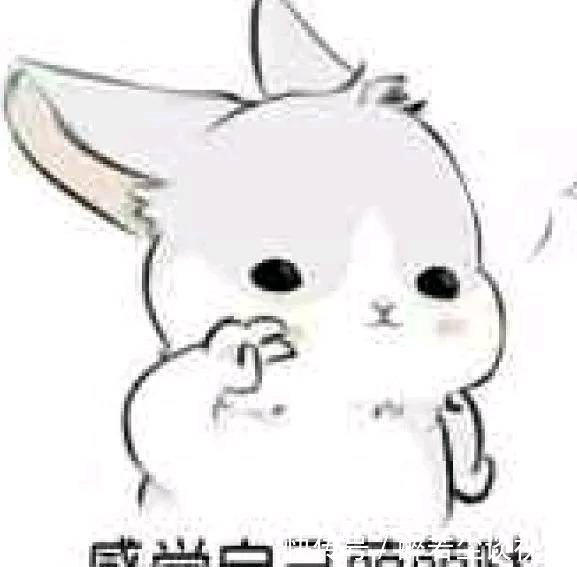 |笑话段子:刚老婆问,银行说俺是贵宾客户,有什么好处?