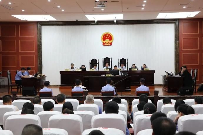 首例留置|扫黑玫瑰：是黑恶一个不放过，非黑恶一个不凑数！