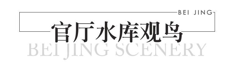 @北京人，冬天这些地方既特别又美丽~最适合周末去转一转!