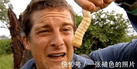 還記得“食物鏈頂端”的貝爺嗎消失匿跡已久