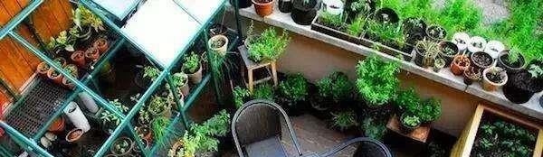 海景|阳台不要再用来晾衣服了,头次见有钱人这样做,立马回家效仿