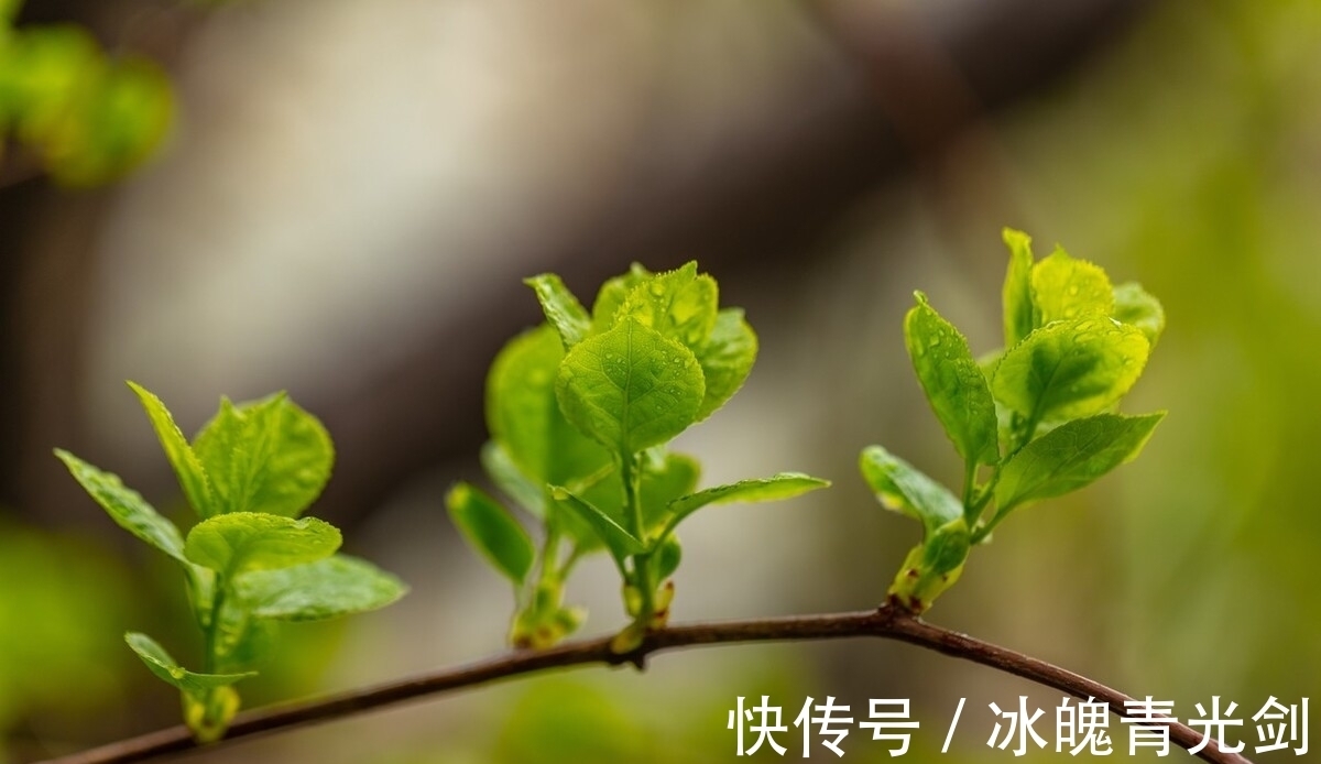 如花在野@一种温柔细腻,探入心底的纯粹,融入心灵的暖意疗愈