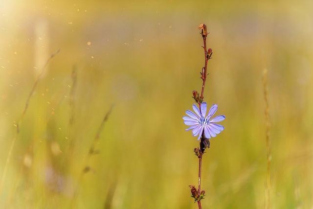 刘禹锡|人生感悟:干净待人,清净待己