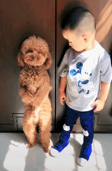 |搞笑GIF:第一次见发传单还能这么诚恳的,不接受都不忍心啊!