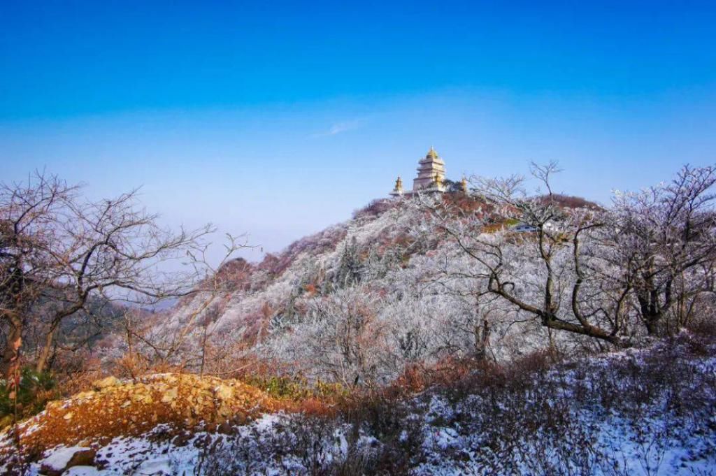 冬季|冬季到湖北来看雪