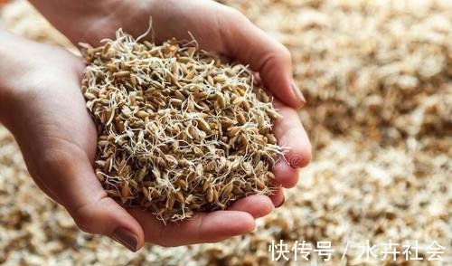 五种野钓大鱼的神饵，都藏在你家的厨房，老钓鱼人都在偷偷用