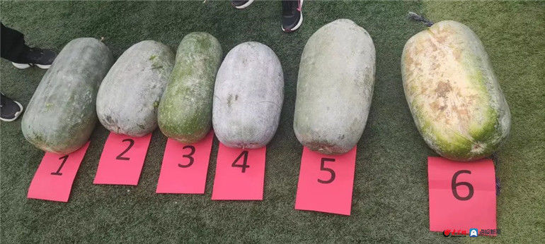 李敏|钢城区金水河学校举行第二届“冬”运会