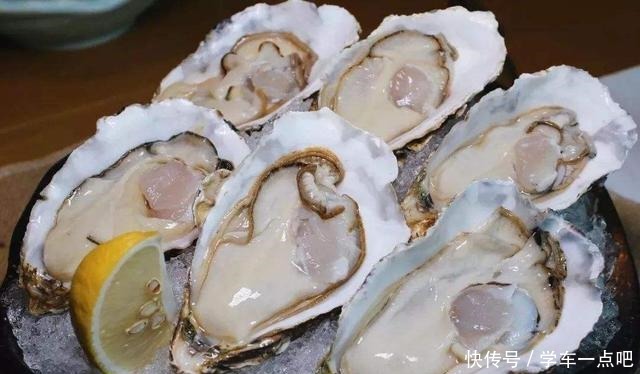 5种“最贵”的海鲜,普通人只有看着的份,土豪也只可能吃过1种