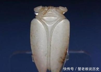 女子带“玉蝉”鉴宝,称已佩戴近十年,专家:你简直是胆大包天!