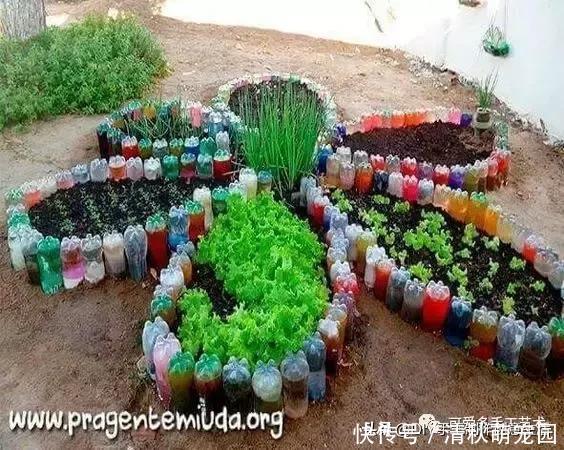 下次再有饮料瓶千万不要丢,看完这个你就明白了,附教程