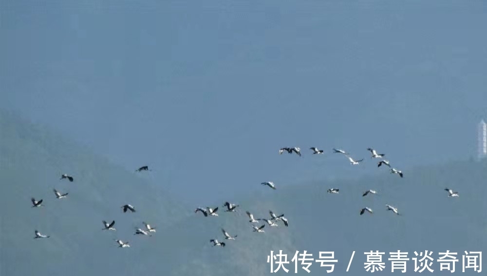 文学作品$萧红《呼兰河传》:生死无常,生死散场(深度好文)