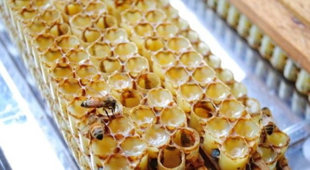 女人不想老太快，多吃這種天然食物，補充雌性激素，調節內分泌