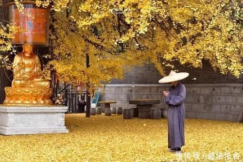 寺庙|中国最“不想挣钱”寺庙，拒绝旅游团进入，给游客一片清净很良心