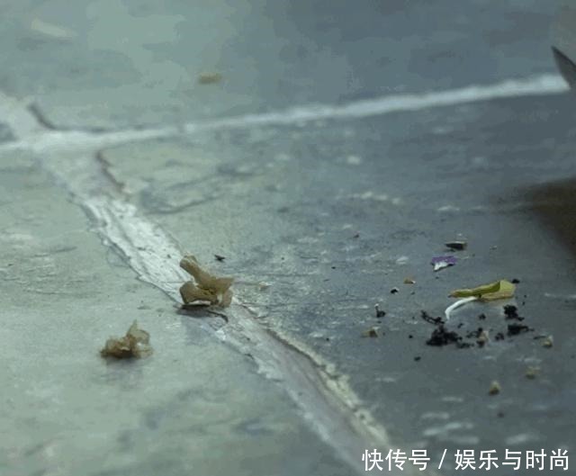 仿生|宝妈爱不释手的神级清洁机,去污除菌一次搞定,小孩再皮也难不倒!